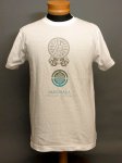 表地のフロントプリント